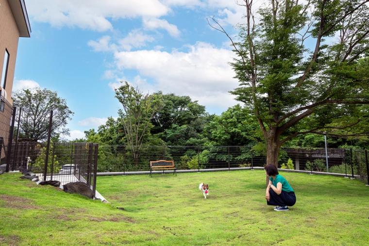 ラ・ドッグリゾート