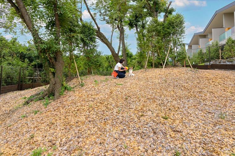 ラ・ドッグリゾート