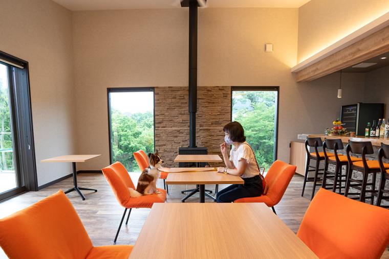 ラ・ドッグリゾート