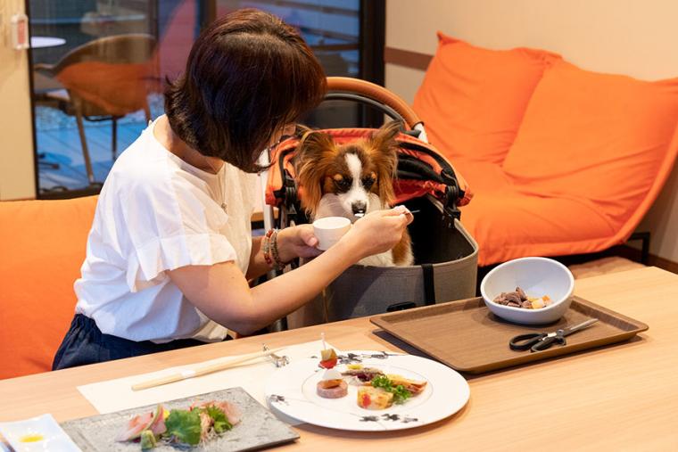 ラ・ドッグリゾート