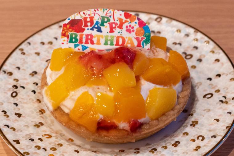 ラ・ドッグリゾート