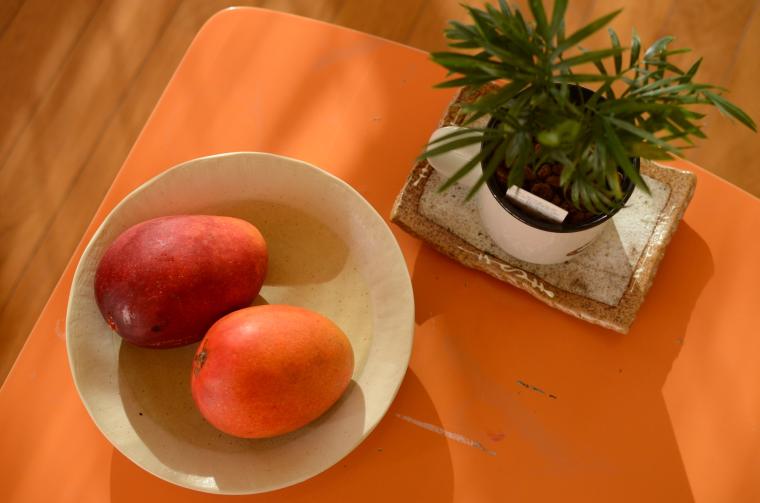 宮古島マンゴー