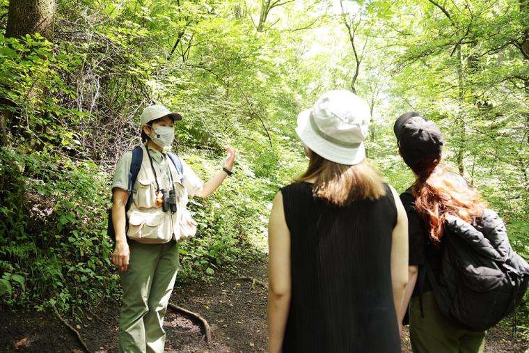 野鳥の森ネイチャーウォッチング