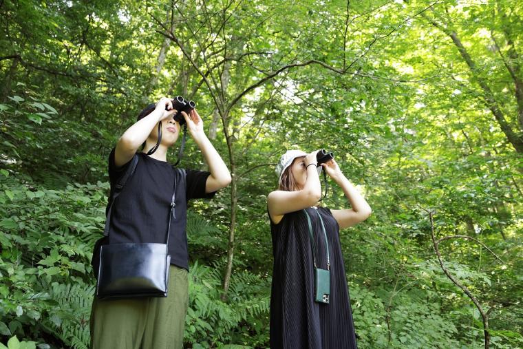 野鳥の森ネイチャーウォッチング