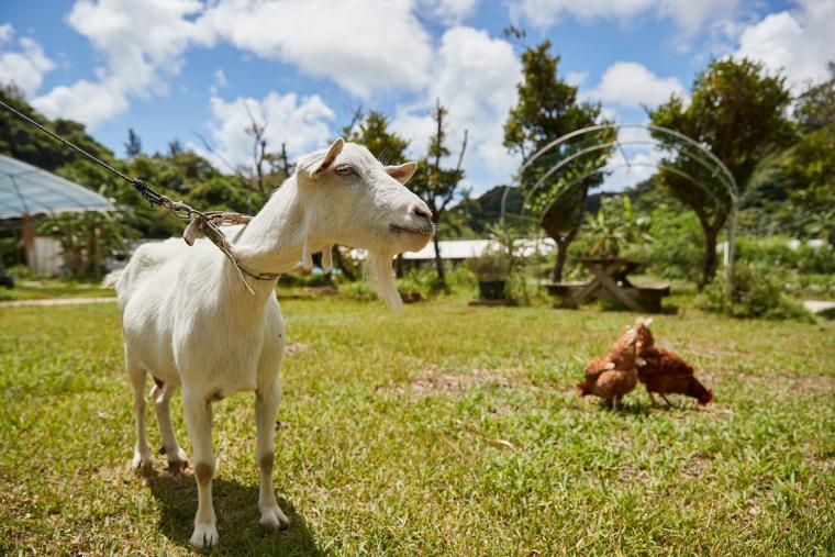 “発酵するホテル”「ＥＭウェルネス暮らしの発酵ライフスタイルリゾート」