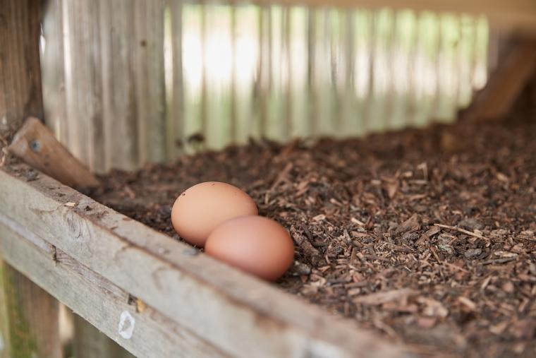 “発酵するホテル”「ＥＭウェルネス暮らしの発酵ライフスタイルリゾート」