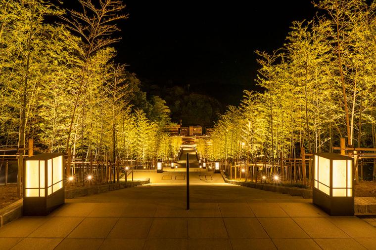 竹林の階段のライトアップ