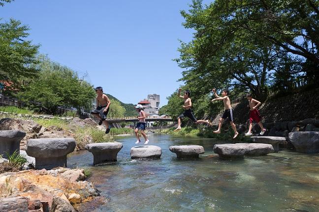 音信川の飛び石