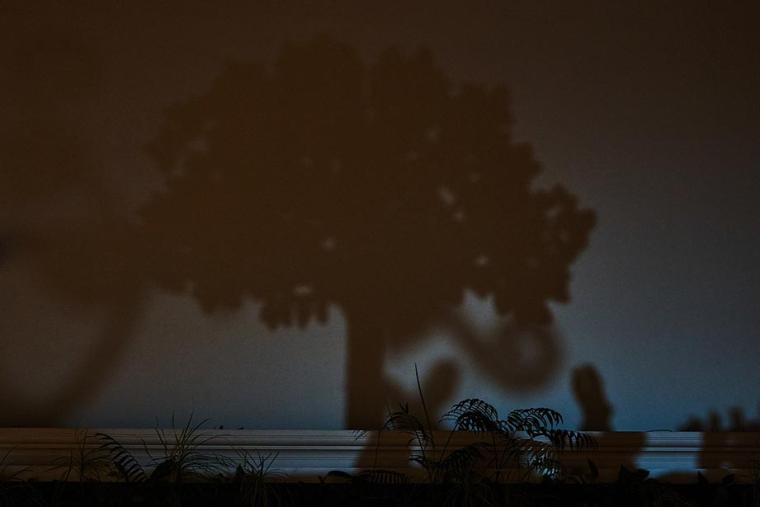 三井ガーデンホテルプラナ東京ベイ