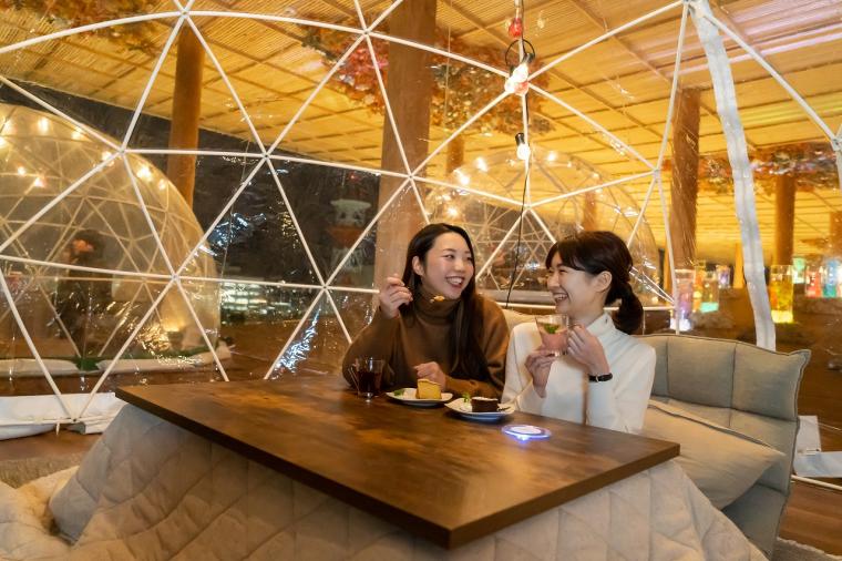 ライトアップされ、昼とは雰囲気の異なるクリアドーム