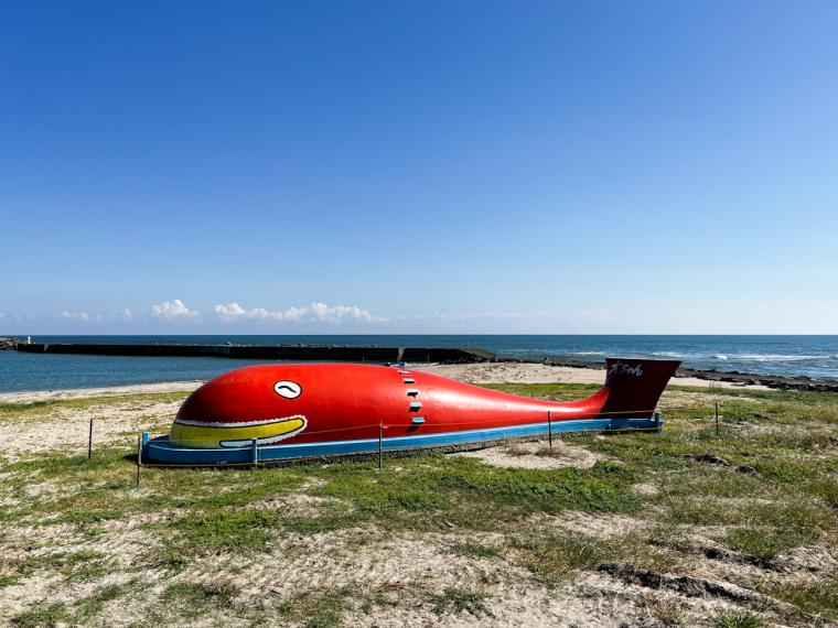 海風を感じながら気持ちよくサイクリング！