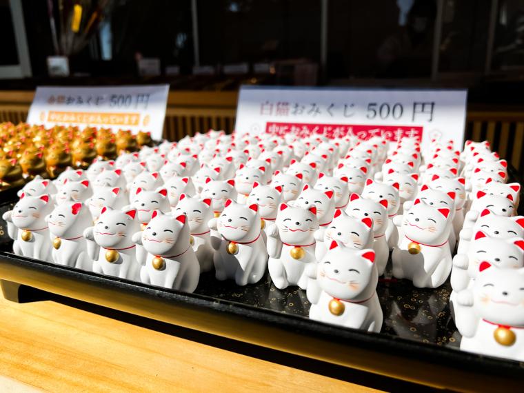 凛とした空気が流れる「酒列磯前神社」