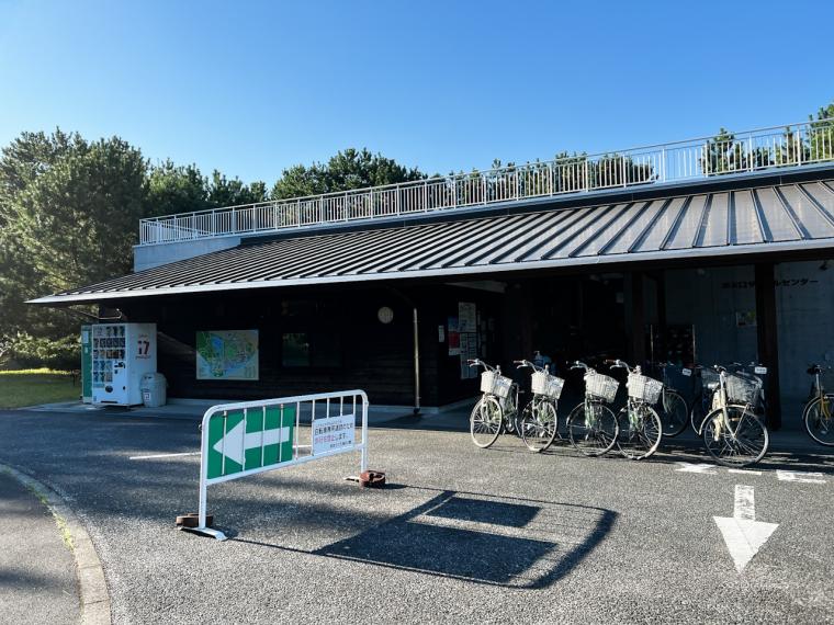 サイクリングのゴールはコキアが美しい「国営ひたち海浜公園」