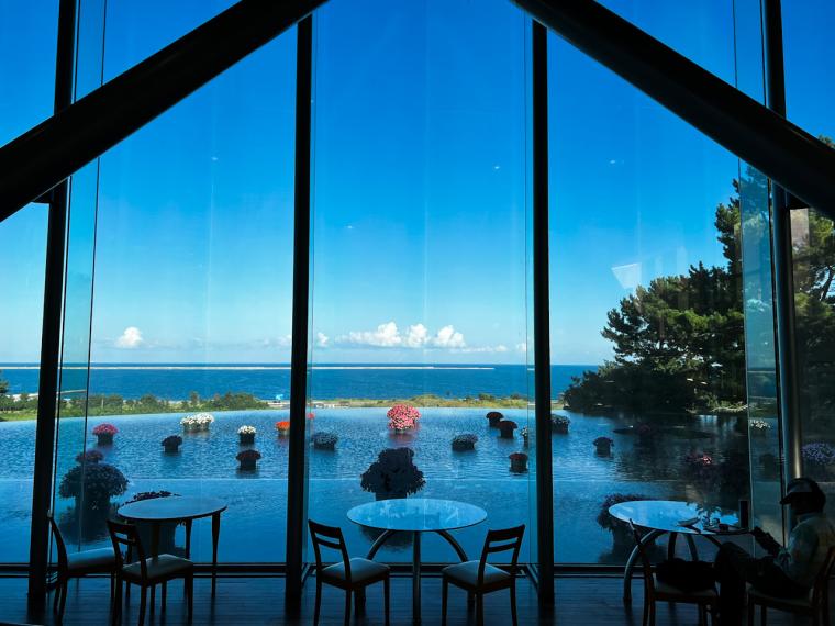 サイクリングのゴールはコキアが美しい「国営ひたち海浜公園」