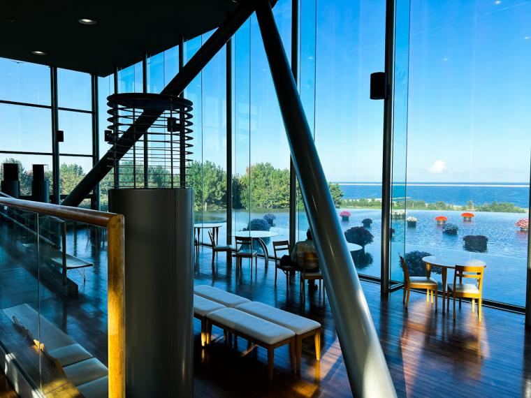 サイクリングのゴールはコキアが美しい「国営ひたち海浜公園」