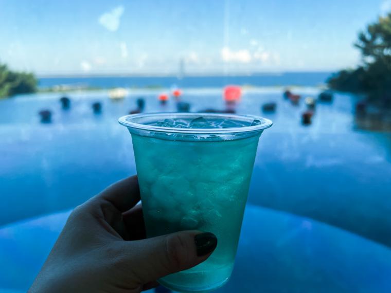 サイクリングのゴールはコキアが美しい「国営ひたち海浜公園」