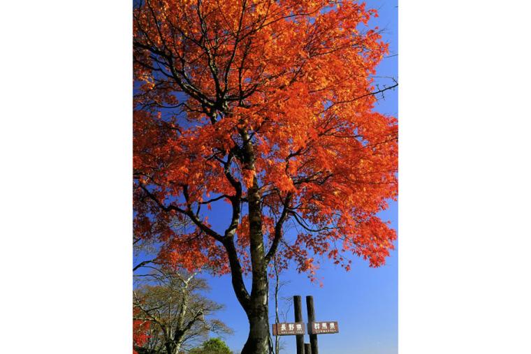 旧碓氷峠見晴台