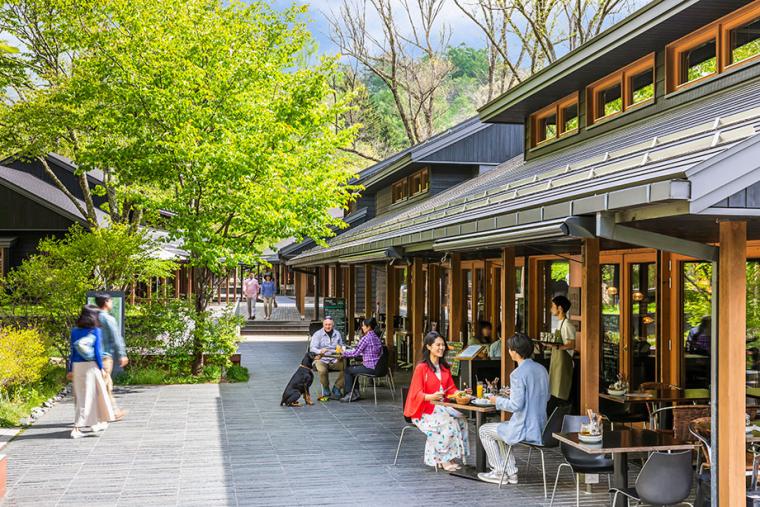 ハルニレテラス