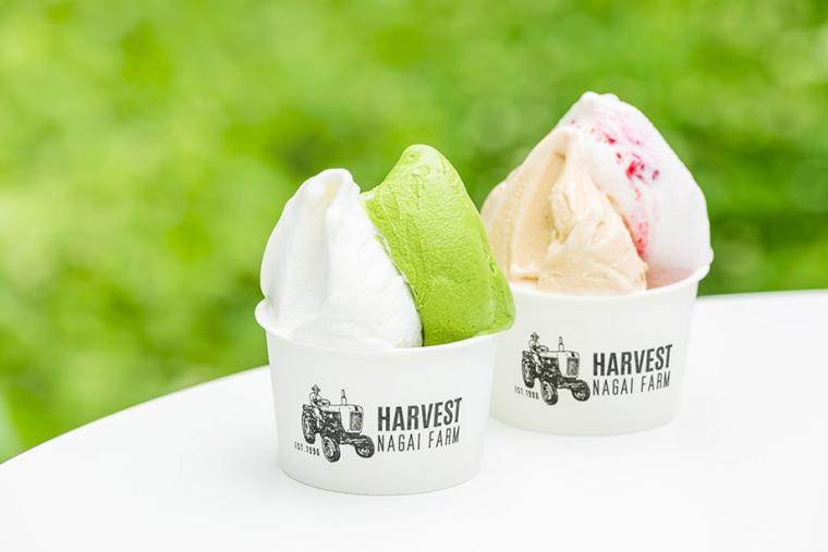 ハルニレテラス