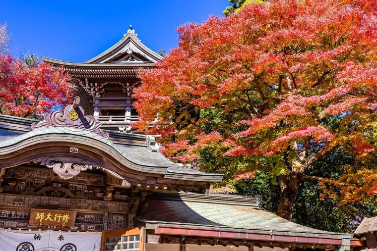 高尾山（たかおさん）　