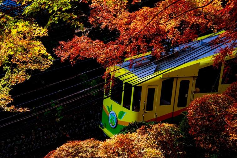 高尾山（たかおさん）　