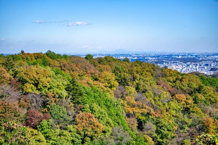 高尾山（たかおさん）　
