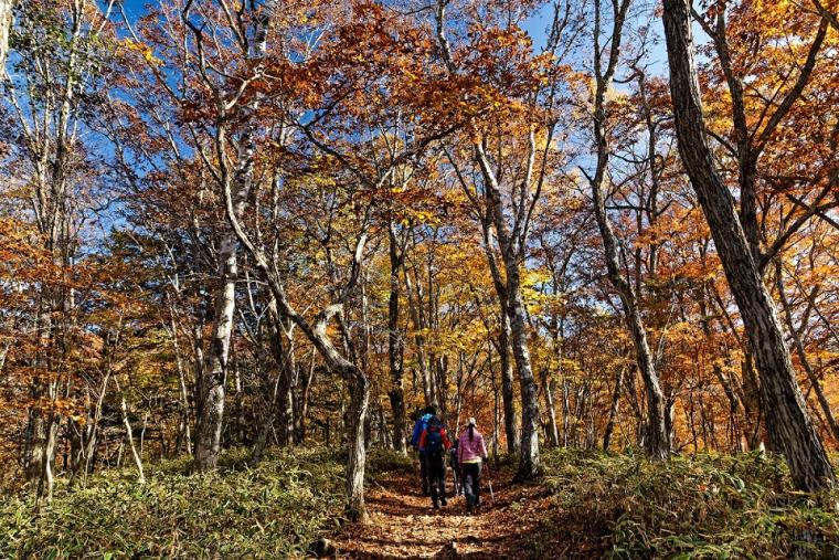 大菩薩嶺（だいぼさつれい）