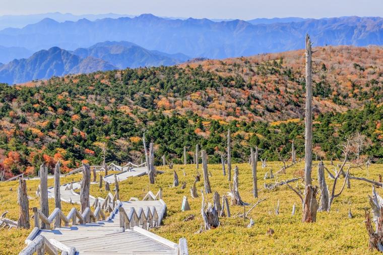 大台ヶ原山（おおだいがはらやま）