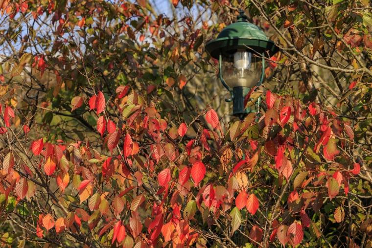 六甲山（ろっこうさん）