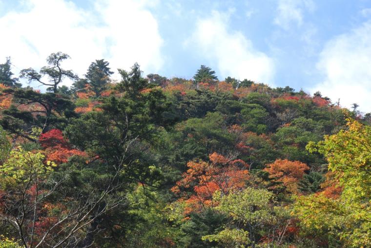 石鎚山（いしづちやま）