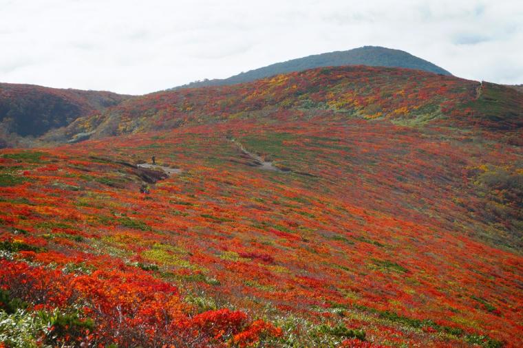 栗駒山（くりこまやま）