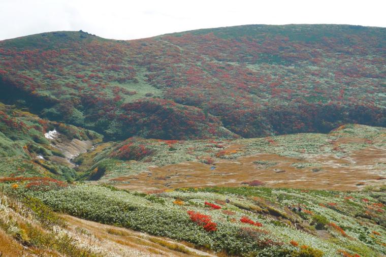 栗駒山（くりこまやま）