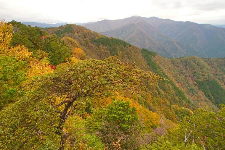 妙法ヶ岳（みょうほうがたけ）