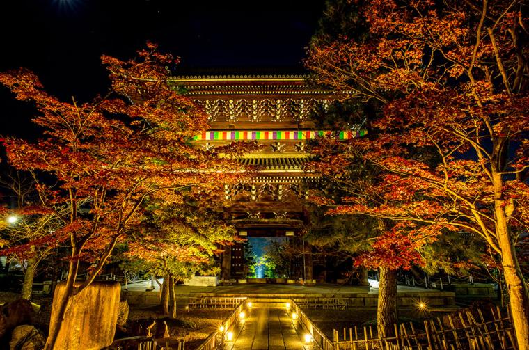 黒谷金戒光明寺 紅葉ライトアップ