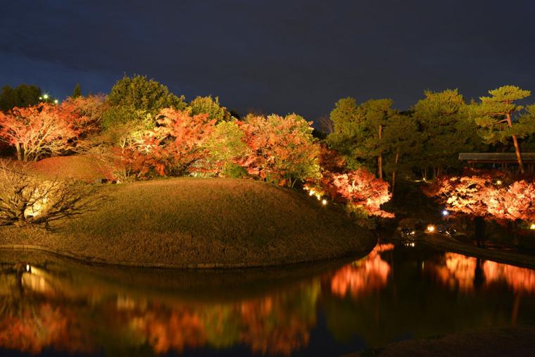 梅小路公園 紅葉ライトアップ