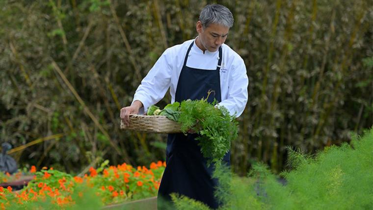 ジ・アッタテラス（沖縄）