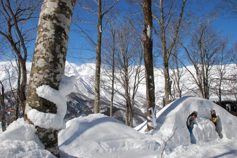 雪像やフォトスポットがある「IWATAKE WHITE PARK」