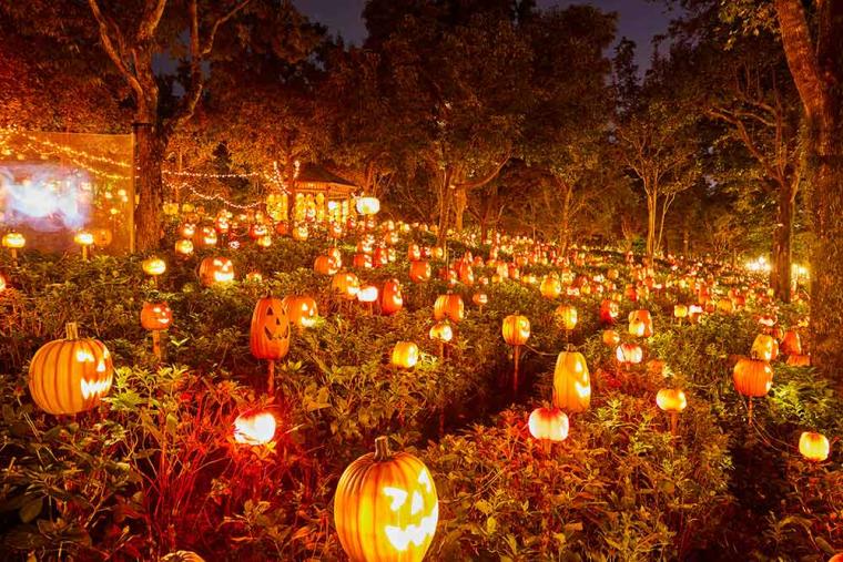 ハロウィーンランタンの数はおよそ2,500個