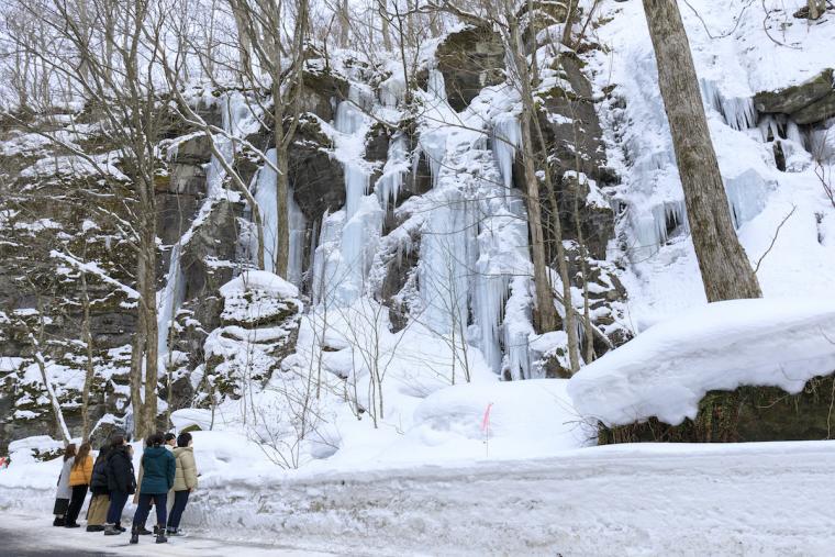 奥入瀬渓流氷瀑ツアー　冬の奥入瀬ネイチャーガイドツアー