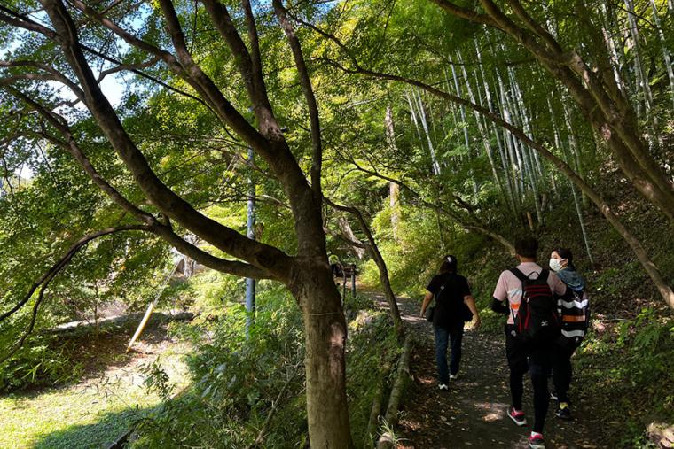 カフェから滝を眺められる癒しの「月待の滝」