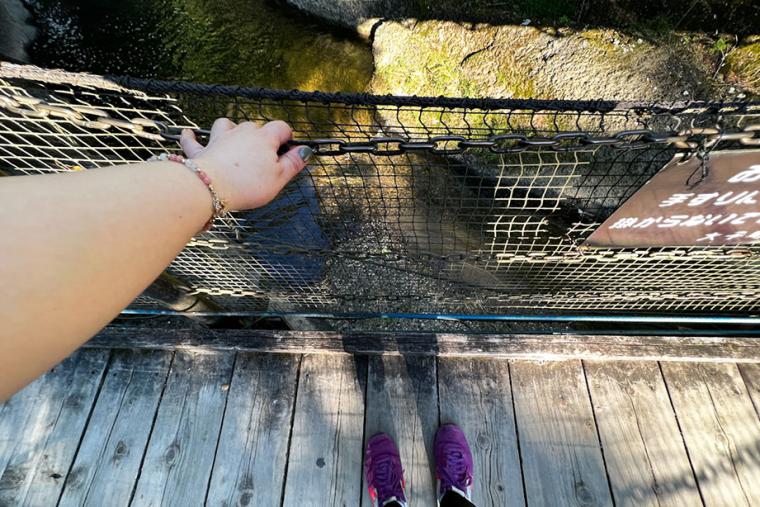 その壮大さに驚き！「袋田の滝」