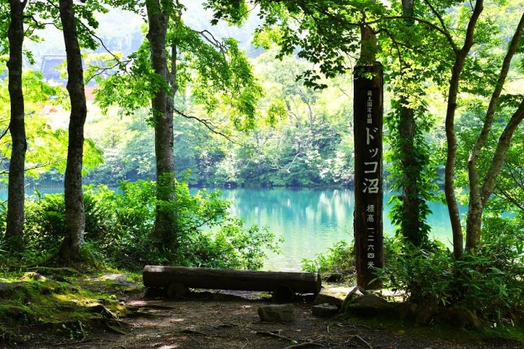 「ドッコ沼」周囲をトレッキング