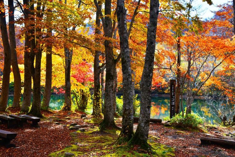 「ドッコ沼」周囲をトレッキング