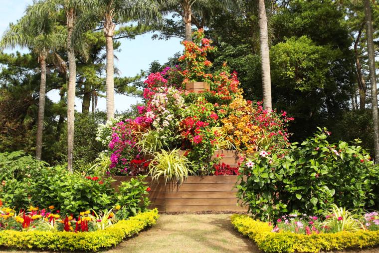 宮交ボタニックガーデン ブーゲンビリア