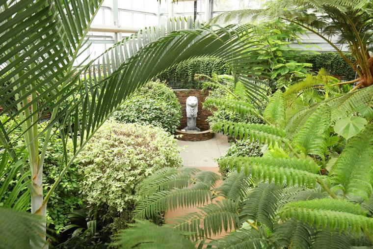 宮交ボタニックガーデン