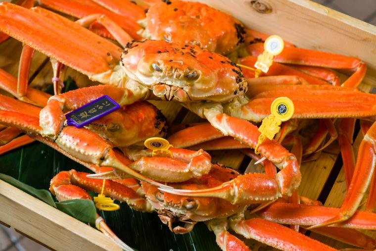 11月6日に解禁された福井県の「越前がに」