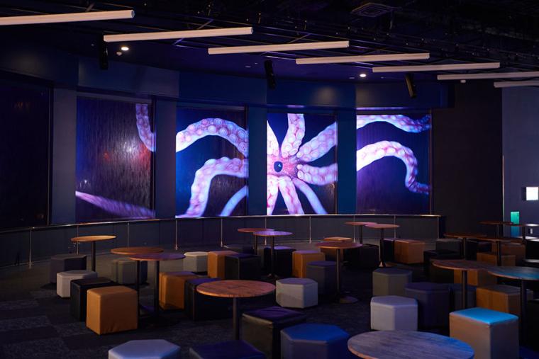 DMMかりゆし水族館