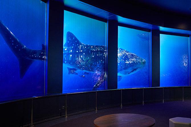 DMMかりゆし水族館