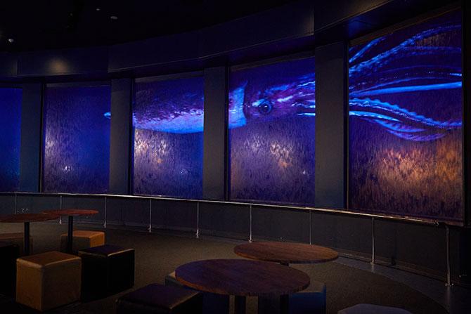 DMMかりゆし水族館