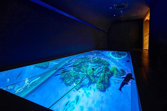 DMMかりゆし水族館